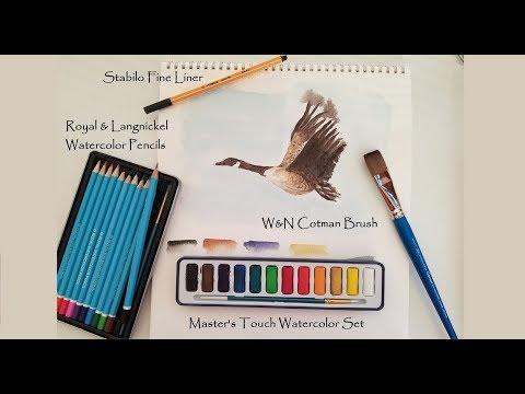 Royal /& Langnickel Small Tin Watercolor Pencil Art Set