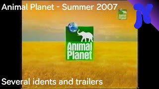 Animal Planet design (summer 2007)