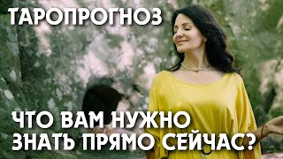 ЧТО МНЕ НАДО ЗНАТЬ ПРЯМО СЕЙЧАС..? 🛎️🕊️КУДА ВЕДЁТ ВАС СУДЬБА…?💫