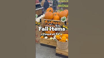 It’s officially fall ✨ Would you try any of these #traderjoes fall items? #fyp #groceryshopping #nyc
