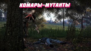 видео: Dayz атмосфера PVE новые квесты 27 картинка: Dayz атмосфера PVE новые квесты 27