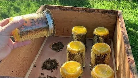 #MasonJar Comb #Honey | #Beekeeping