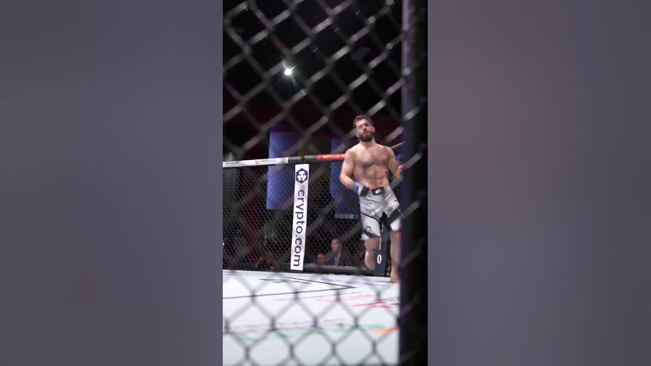 Ufc мухаммад наимов прямой эфир