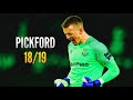 Jordan Pickford ● Saves Compilation ● 2018/19｜HD