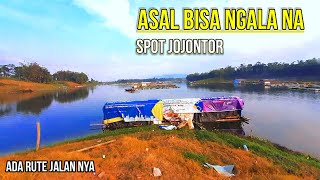 Back to this spot, ❗are there still fish?❓Luxury spot, cheap prices, abundant fish /   road route