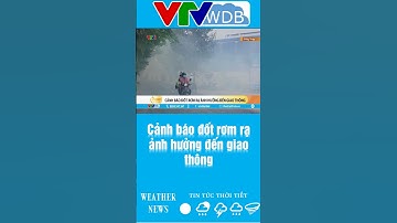 Cảnh báo đốt rơm rạ ảnh hưởng đến giao thông | VTVWDB