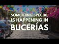 Something special is happening in Bucerías