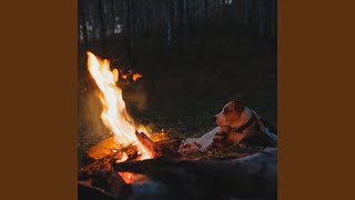 Ember's Echo for Energetic Spaniels