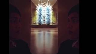 Vlog: Empty Museum & ChihulyTO