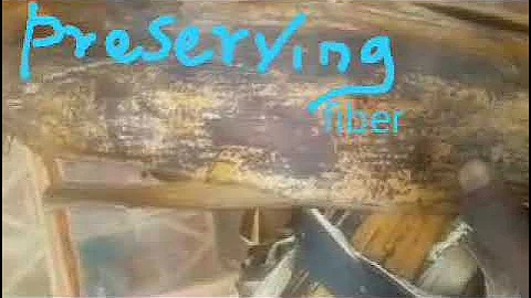 PRESERVING BANANA FIBER