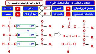 مخطط الجليسرول