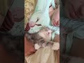 حنان القطة هههه 