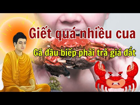 Quả Báo Khi