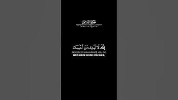 سورة القصص الآية: 56 | الشيخ ياسر الدوسري حفظه الله #قرآن #قران_كريم #ياسر_الدوسري
