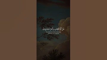 القارئ : عبد الرحمن مسعد ؛ سورة : آل عمران
