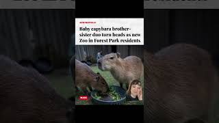 i’m so hype #forestpark #springfield #westernmass #zoo