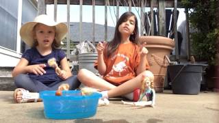 Vivian And Stella Play With Barbies