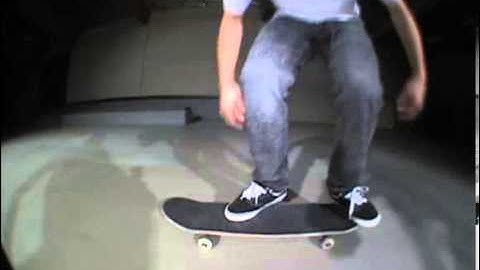 Switch 360 Flip-Zered Basset
