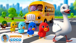 Wheels On The Bus (Animal Version) | | RaydenCoco Nursery Rhymes & Kids Songs