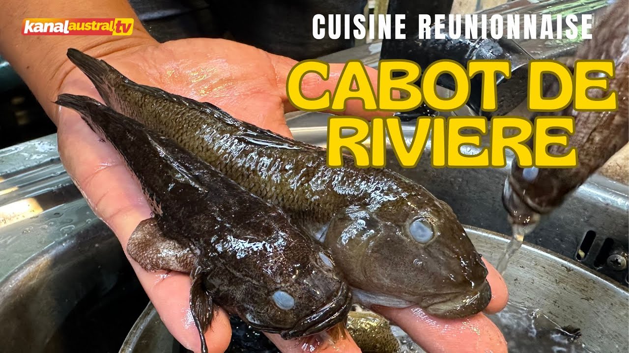 Carry Cabot, La raie et Civet Coqs by KANAL AUSTRAL.TV