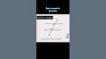 Class 9 Maths/Basic concepts in geometry/parallel lines