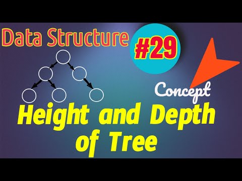 Data Structure Tutorial #29:  Height and Depth of a Node in a Tree | Height of Tree | Depth of Tree