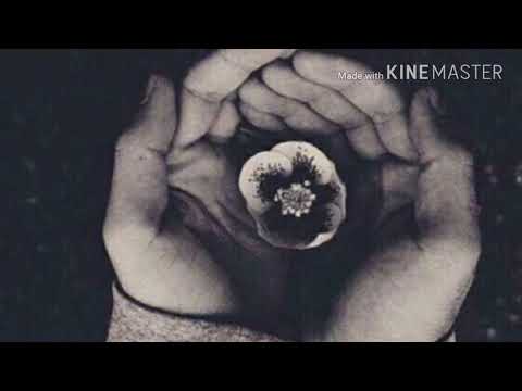 دعاء مشاري العفاسي اللهم اجعل في قلبي نور