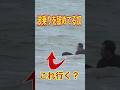 波乗りを油断して舐めてたら、、 #サーフィン