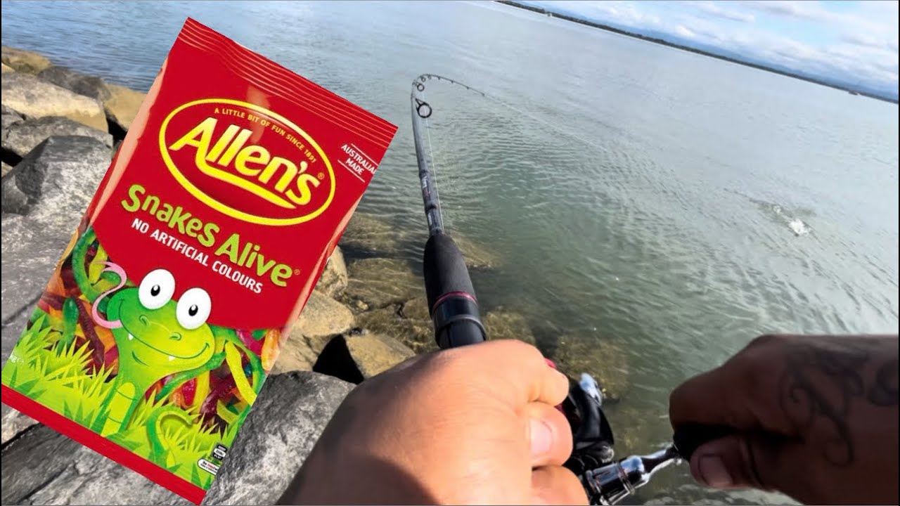 Land based Fishing Redcliffe - Using Lollies?!