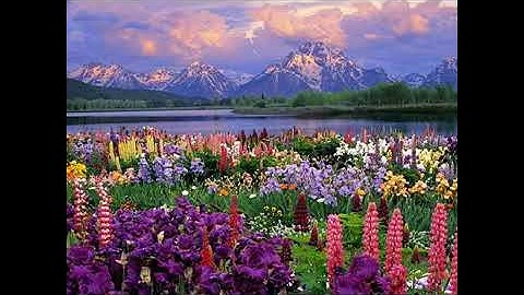 تبارك الذي جعل في السماء بروجا وجعل فيها سراجا وقمرا منيره تلاوه خاشعه بص وت عذب للشيخ يوسف العيدروس