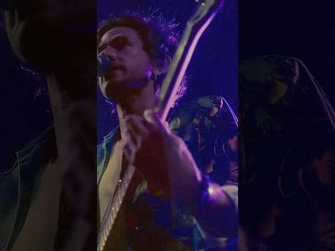 pomegranates and light rain