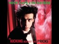 nick cave and the bad seeds - i'm gonna kill that woman