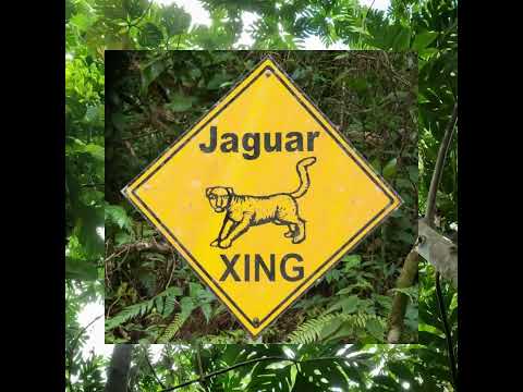 Signs You Are In Belize