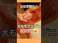 ブヨブヨ太ももタイプに効く!セルライト対策 #shorts #脚やせ #セルライト