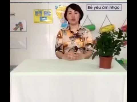 Kỹ năng VS mũi
