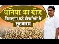 धनिया (Coriander) का बीज दिलाएगा कई बीमारियों से छुटकारा | Acharya Balkrishna