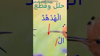 حلل وقطع كلمة الهدهد