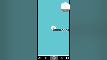 Megaphoto Minigames: Half plays Flappy bird!