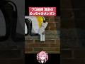 めっちゃカメレオンでイラストレーターが本気だしてみたら…？！【いくしー切り抜き】