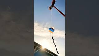 Bactéria Foi Pro Alto