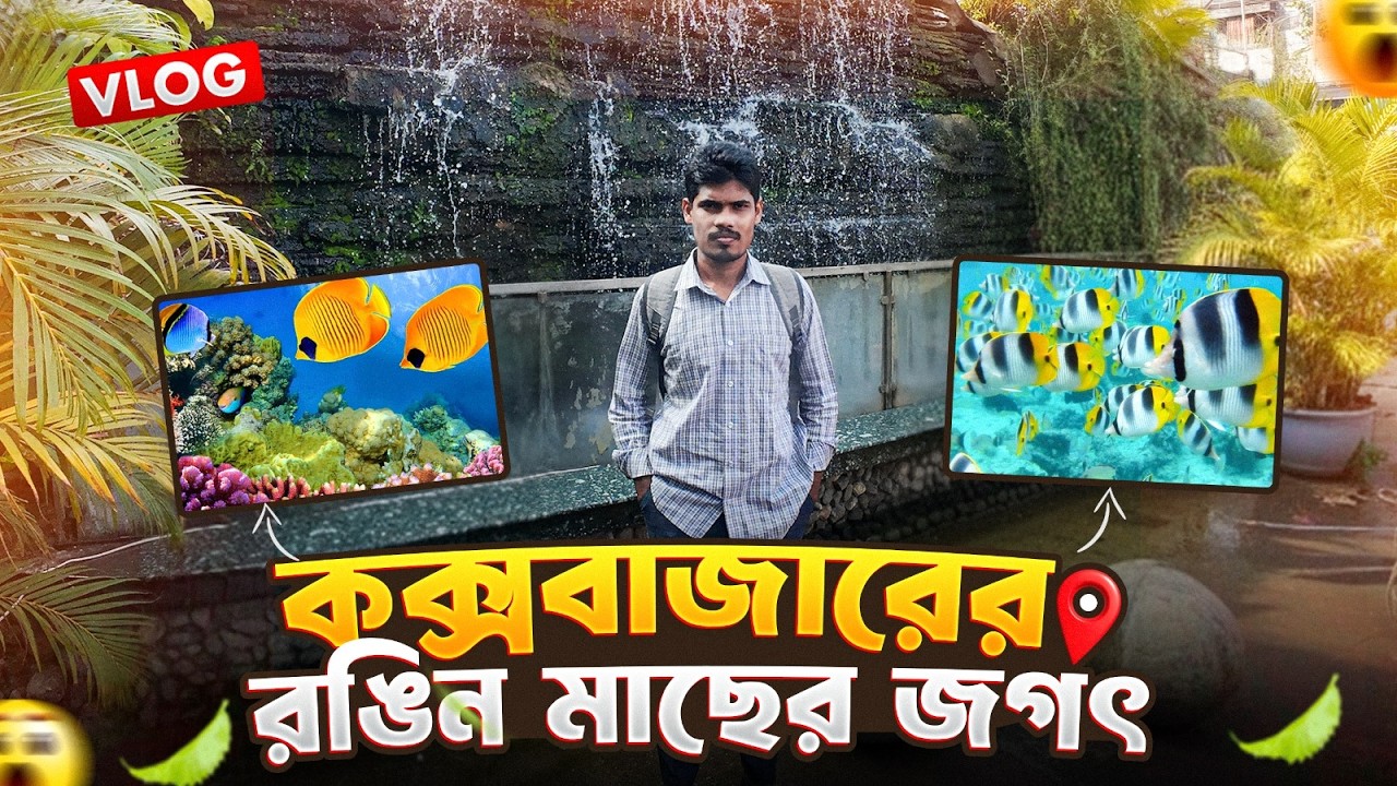 কক্সবাজারের রঙিন মাছের জগৎ | Radiant Fish World Cox’s Bazar