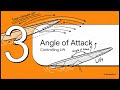 The Physics of Flight