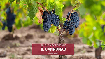 Quali sono i vini tipici della Sardegna?