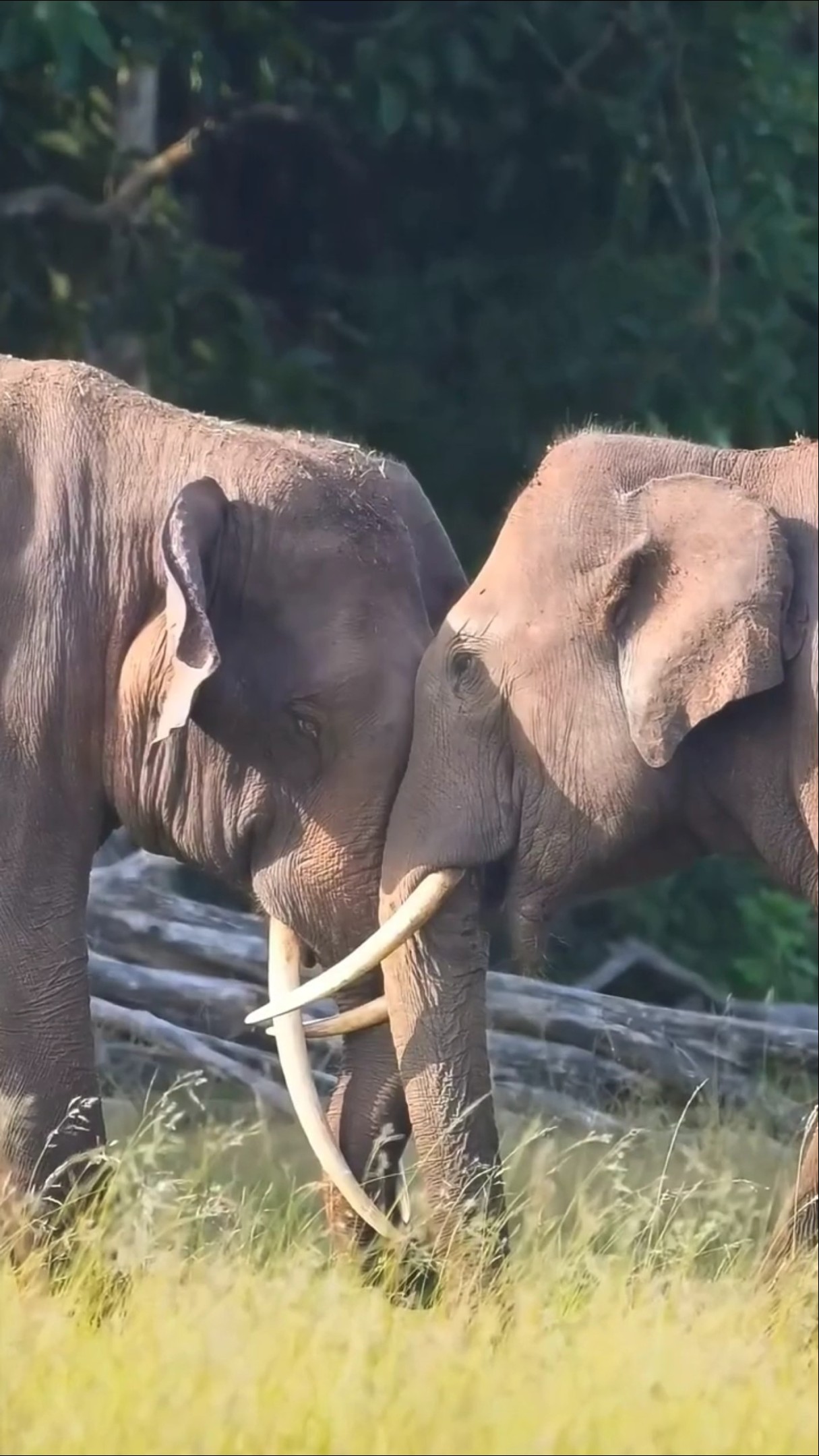 😎வரலாற்றில் இன்று📰 - ShareChat