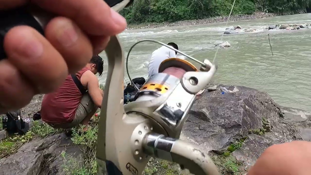 Fishing video from Rangeet river 