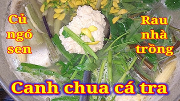 Canh chua cá tra nấu với củ sen bông súng điên điển rau muống đồng/Crazy water lily fish sour soup