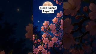 Surah Sajdah🌳✨.... #urdutranslation #loveislam #likeandsubscribe #shorts @Basic-teaching-x4i