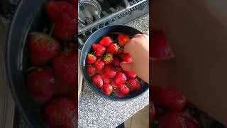 How To Eat Cerotpart69