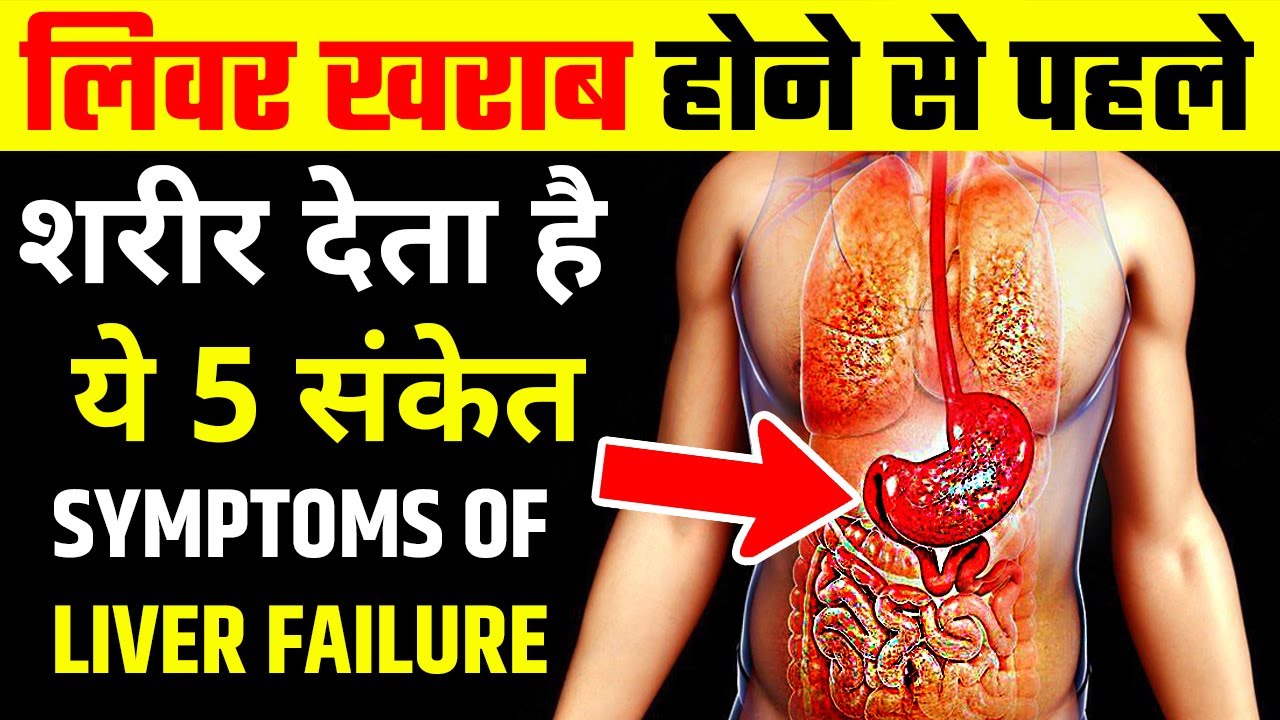 लिवर खराब होने से पहले देता है ये 5 संकेत अगर समय पर नहीं पता चला तो मौत पक्की liver damage symptoms