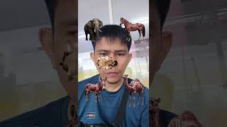 Animals Skin IQ ⁉️ #animals #skin